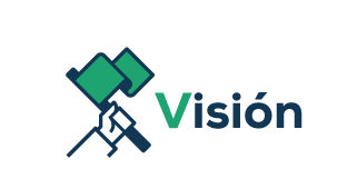 Vision