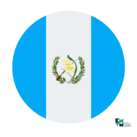 Sin título (360 x 360 px)